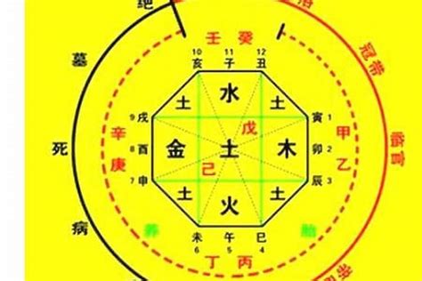 五行 算命|生辰八字算命、五行喜用神查詢（免費測算）